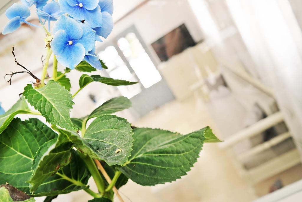 Golden Beach Studios Down Town Naxos City Ngoại thất bức ảnh